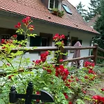 Eco-gîte La Chouette Verte Appartamento Wangenbourg-Engenthal