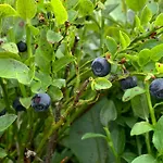 Eco-gîte La Chouette Verte Appartamento