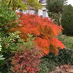 Appartamento Eco-gîte La Chouette Verte