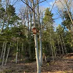 Eco-gîte La Chouette Verte Appartamento