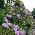 Eco-gîte La Chouette Verte Appartamento *
