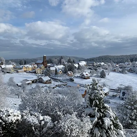 Eco-gîte La Chouette Verte Wangenbourg-Engenthal