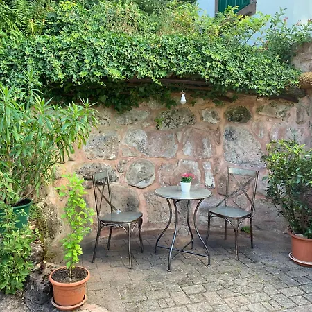 Eco-gîte La Chouette Verte