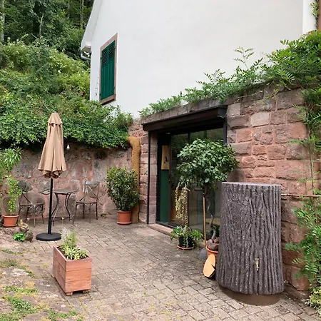 Appartement Eco-gîte La Chouette Verte Wangenbourg-Engenthal