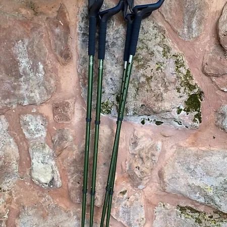 Appartement Eco-gîte La Chouette Verte *