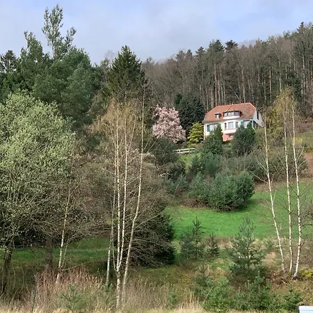 Eco-gîte La Chouette Verte Wangenbourg-Engenthal