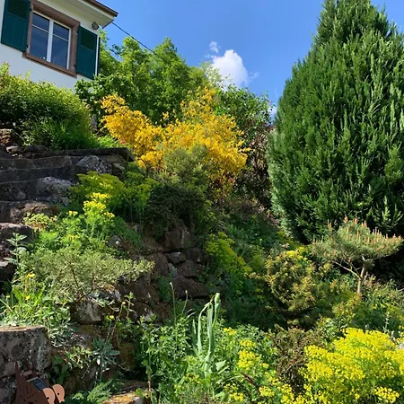 Eco-gîte La Chouette Verte