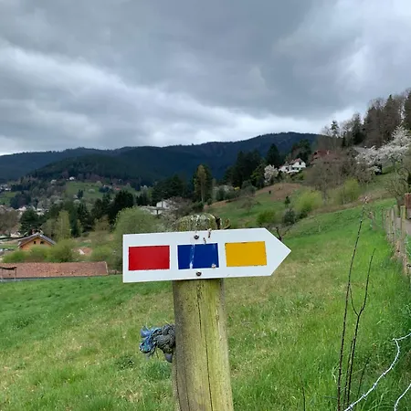 Appartement Eco-gîte La Chouette Verte *