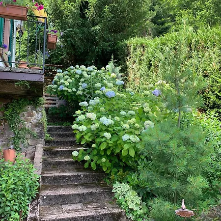 Appartamento Eco-gîte La Chouette Verte Wangenbourg-Engenthal