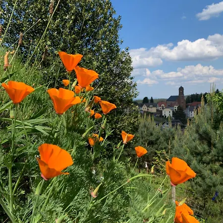 Appartement Eco-gîte La Chouette Verte