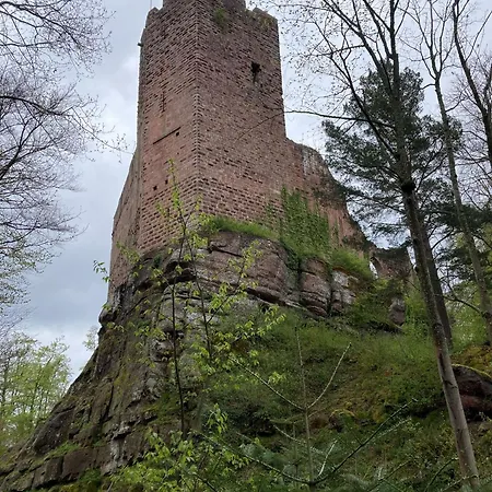 Eco-gîte La Chouette Verte Appartamento Wangenbourg-Engenthal