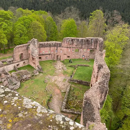 Appartamento Eco-gîte La Chouette Verte Wangenbourg-Engenthal