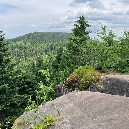 Eco-gîte La Chouette Verte Appartement *