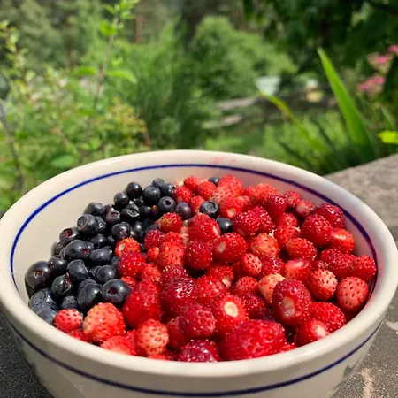 Appartement Eco-gîte La Chouette Verte