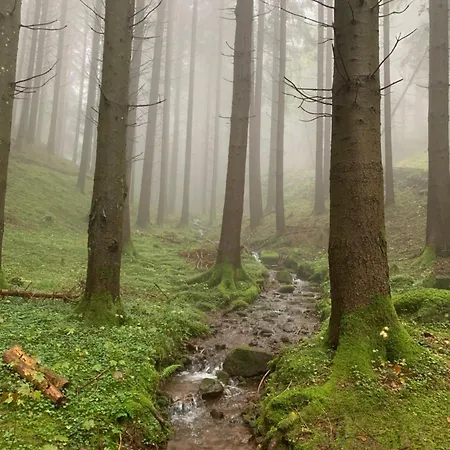 Eco-gîte La Chouette Verte Appartement