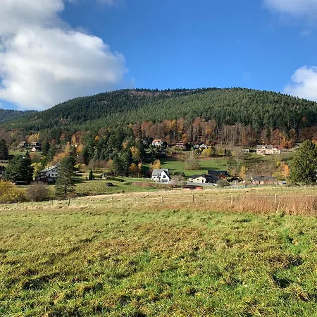 Eco-gîte La Chouette Verte Appartement Wangenbourg-Engenthal