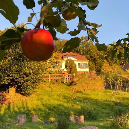 Eco-gîte La Chouette Verte