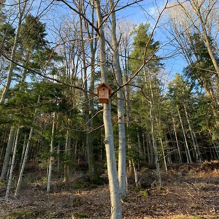 Eco-gîte La Chouette Verte Appartement