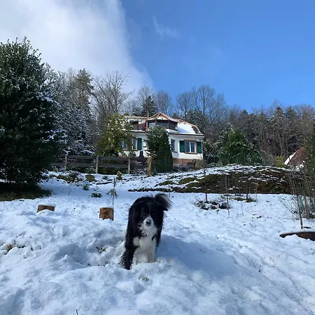 Appartement Eco-gîte La Chouette Verte