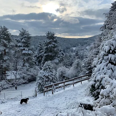 Eco-gîte La Chouette Verte Wangenbourg-Engenthal