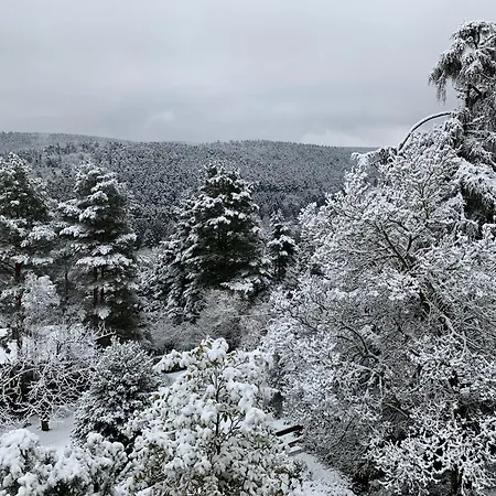 Eco-gîte La Chouette Verte *