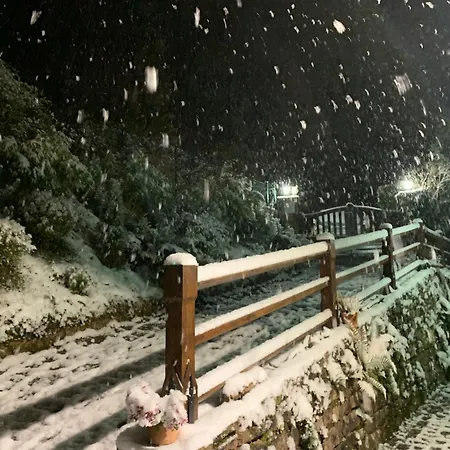Appartement Eco-gîte La Chouette Verte Wangenbourg-Engenthal