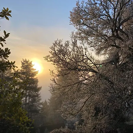 Eco-gîte La Chouette Verte Appartamento