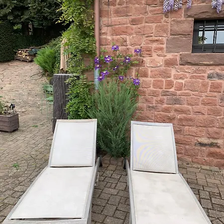 Appartamento Eco-gîte La Chouette Verte Wangenbourg-Engenthal