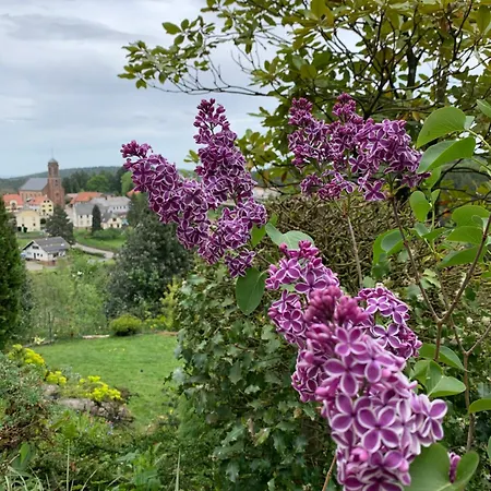 Eco-gîte La Chouette Verte Wangenbourg-Engenthal