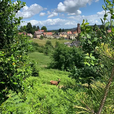 Eco-gite 