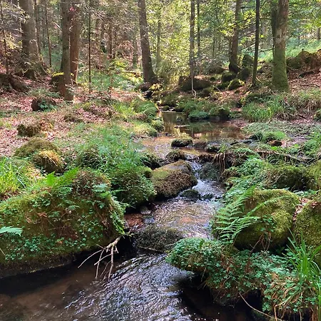 Eco-gite 